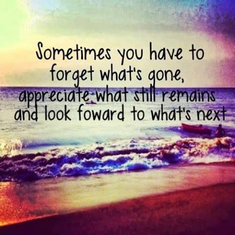 appreciate-still-remains-life-inspirational-small-quotes-sometimes-forget-whats-gone-look-forward-next-words